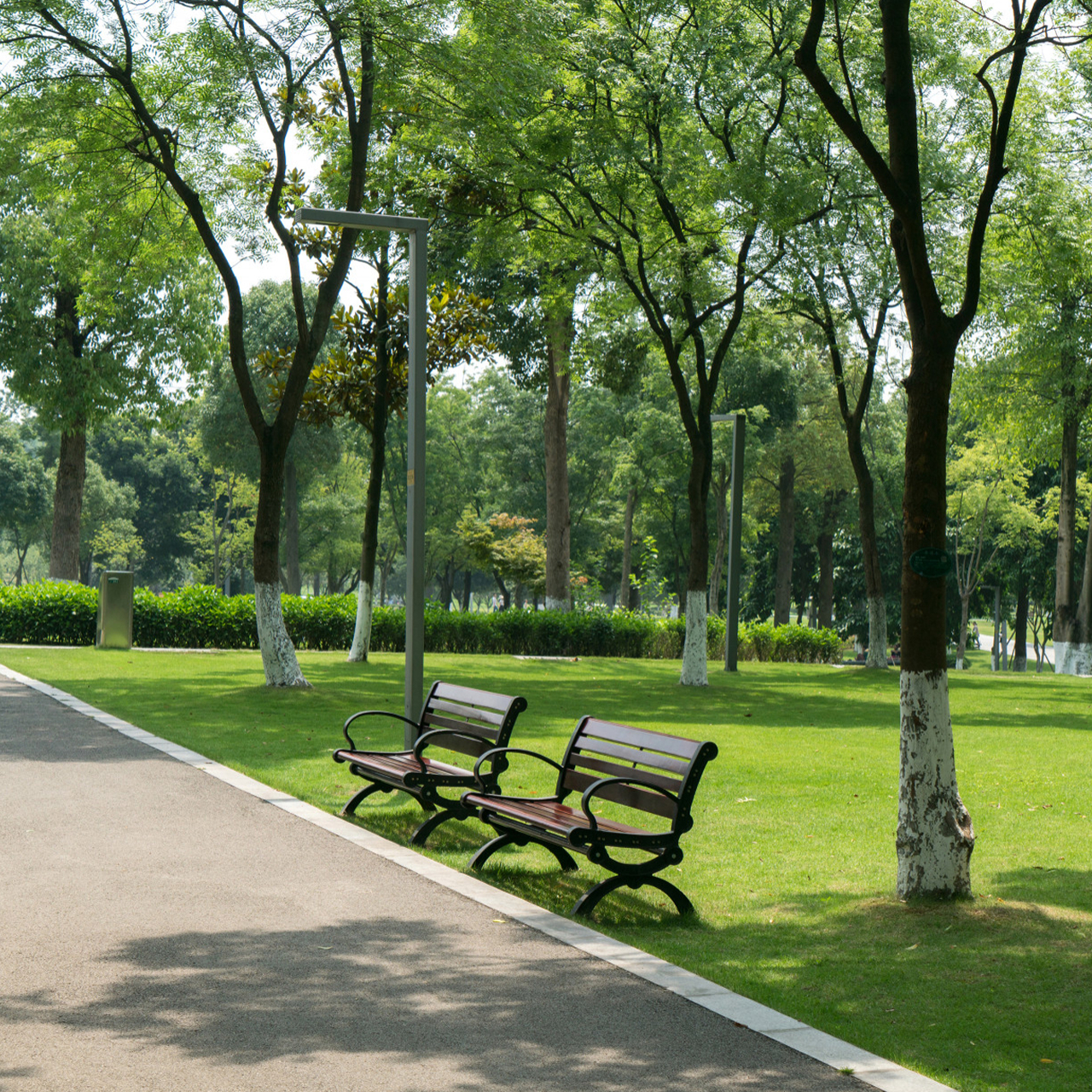 Central Park