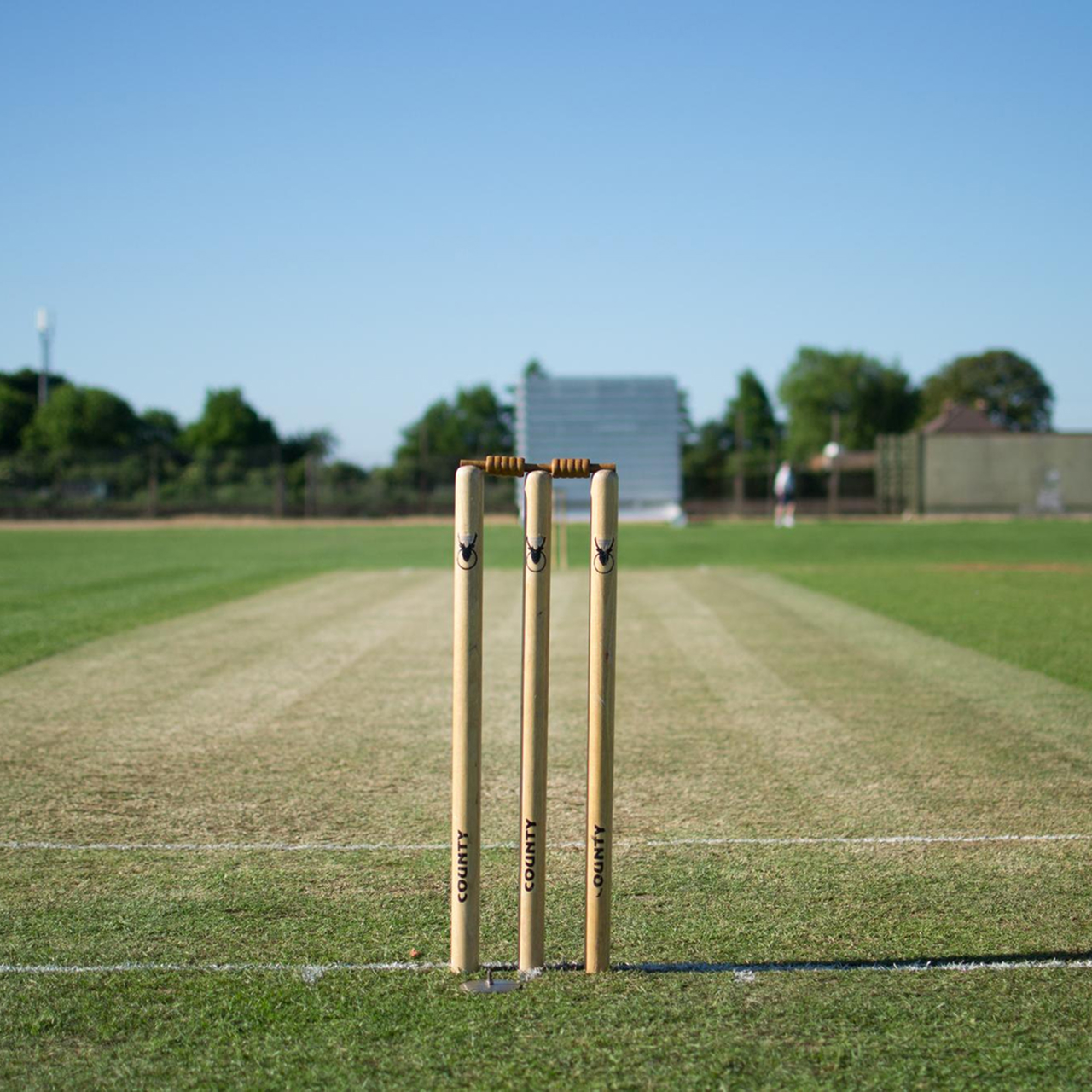 Cricket Pitch