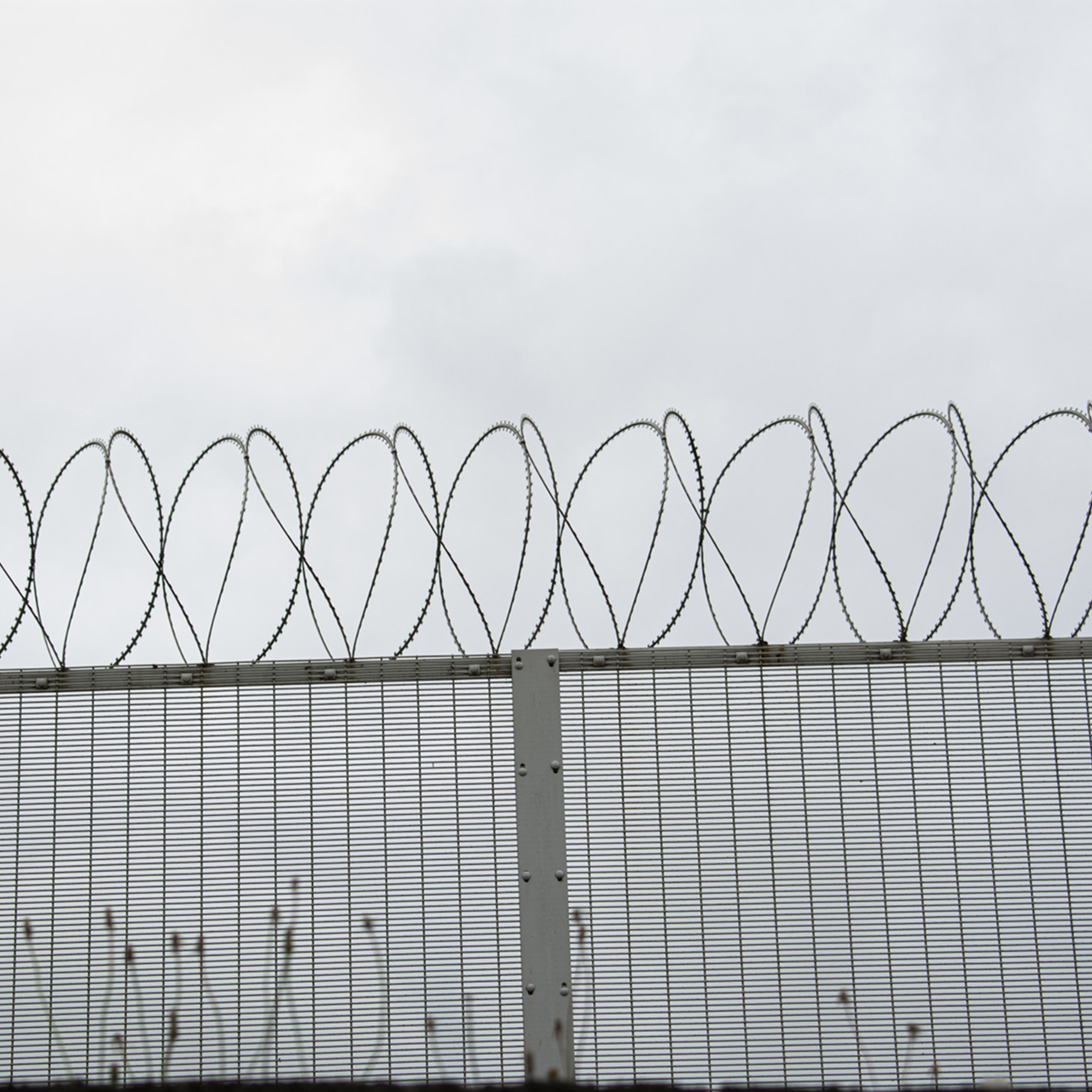 Razer Wire Fencing On Wall