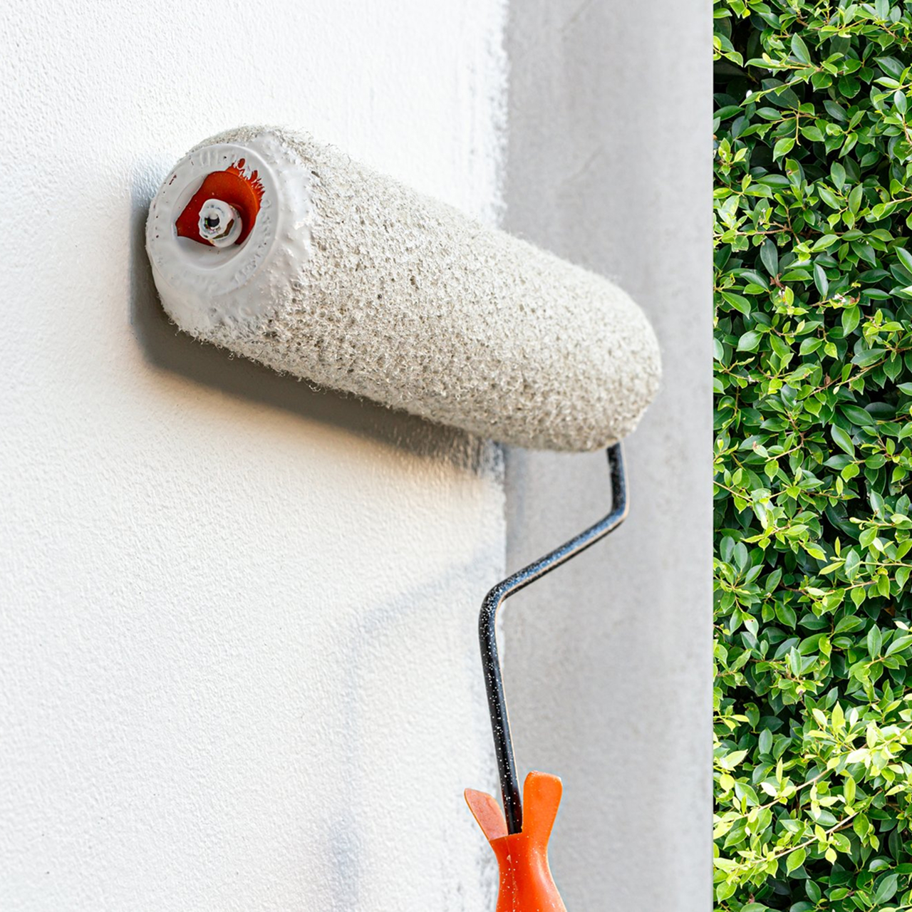 Weatherproof Exterior Paint