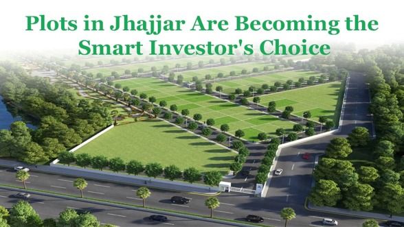 Why Jhajjar Is Emerging as a Promising Destination for Residential Plot Investment