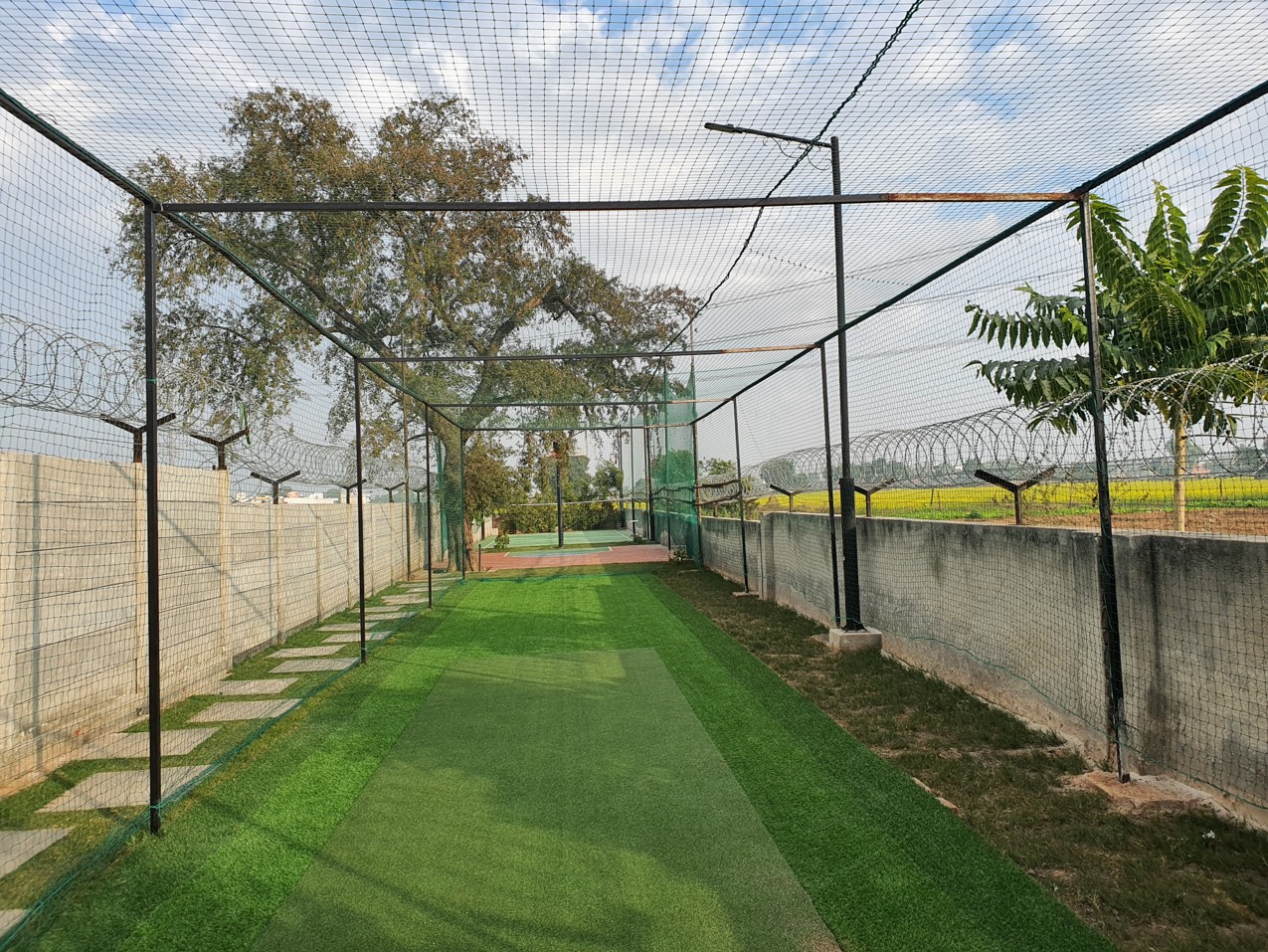 Cricket Pitch