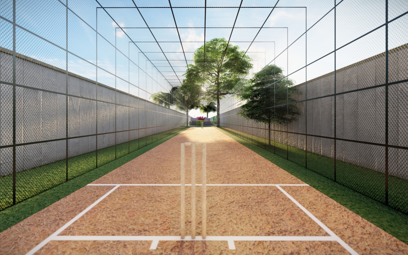 Cricket Pitch
